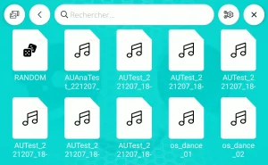 Buddy Player - Liste de musiques